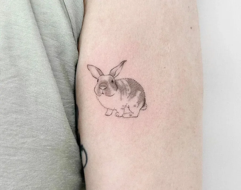 ### Realistic Rabbit Portrait