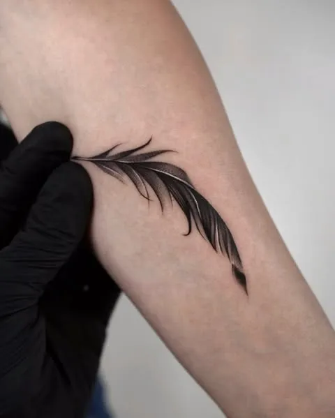 Feather in Flight