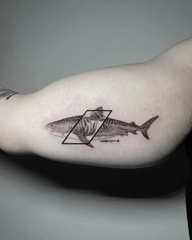 Geometric Shark Motif