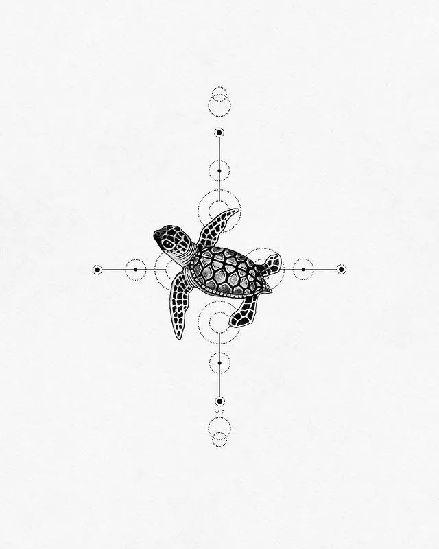 Geometric Turtle Elegance