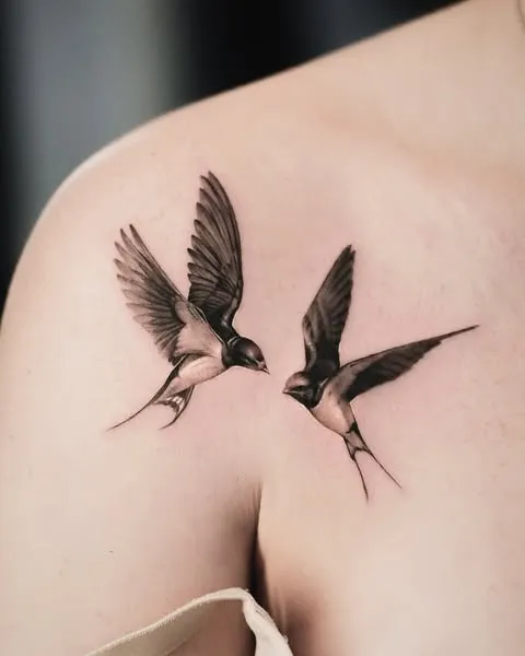 Graceful Swallow Pair