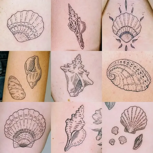 Seashell Trio Harmony