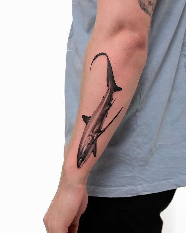 Shark Arm Elegance Tattoo