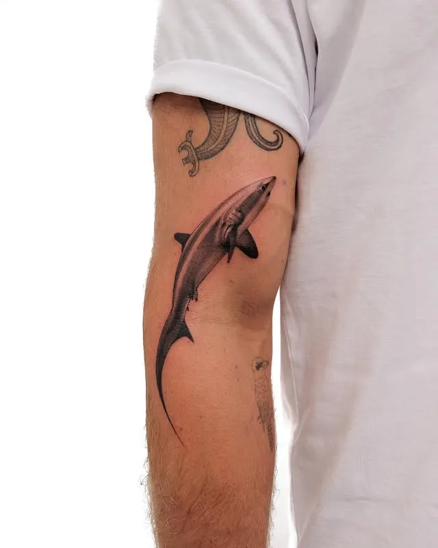 Shark in Motion Tattoo