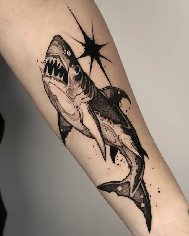 Shark with Star Burst Tattoo