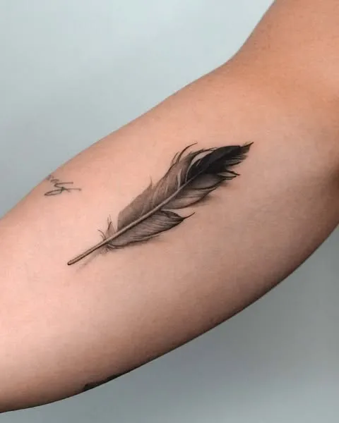 ### Single Feather Elegance