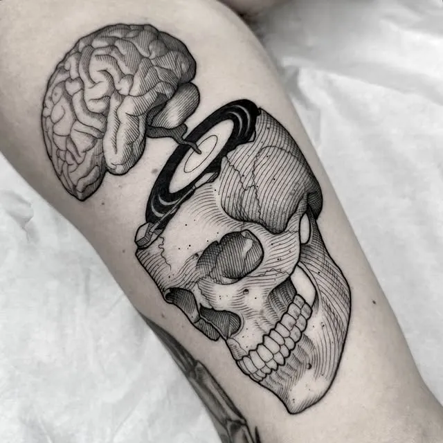 Skull and Brain Harmony