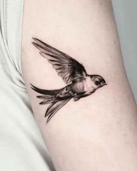 **Swallow in Flight Tattoo**