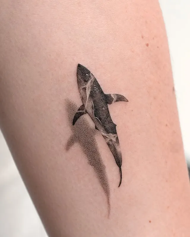 Swift Shadow Shark Tattoo