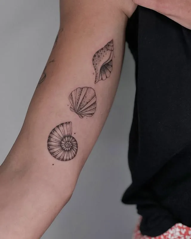 Trio of Shells Tattoo